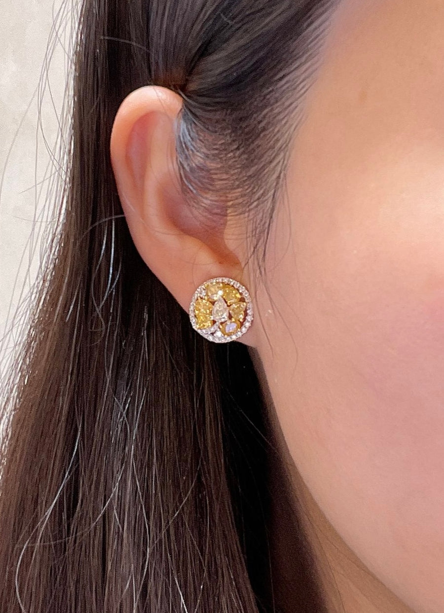 Natural Fancy Colour Diamond Stud Earrings  天然多色鑽石耳插