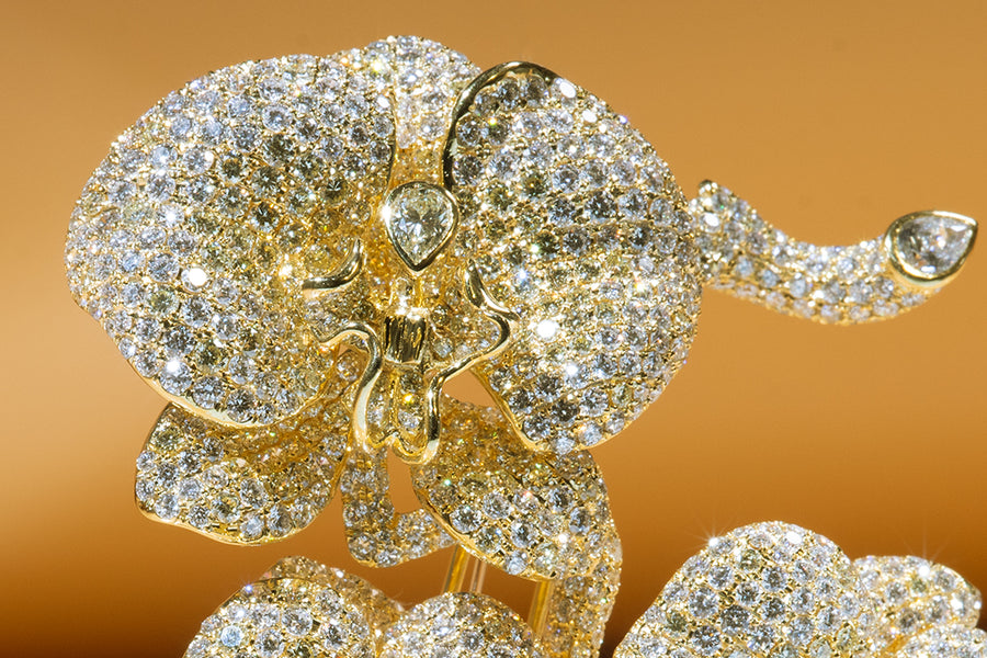 ''Orchids'' Inspired Yellow Color Diamond Brooch ''蘭花''黃色鑽石胸針