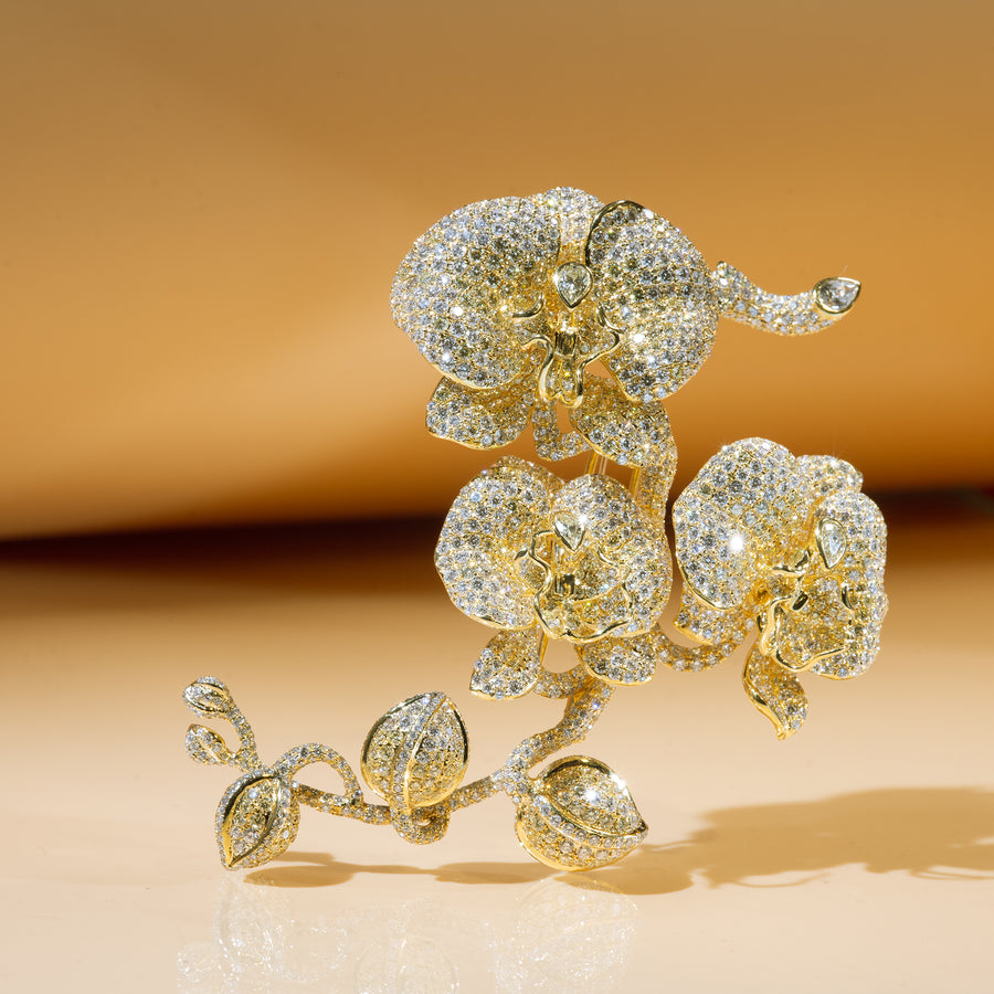 ''Orchids'' Inspired Yellow Color Diamond Brooch ''蘭花''黃色鑽石胸針